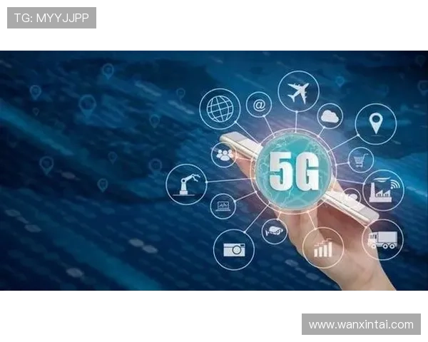 详解金年会app登录入口的正确方式确保顺利连接官方平台