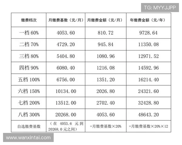 金年会手机版会员登录失败的原因分析及快速解决方案帮你轻松突破登录难题